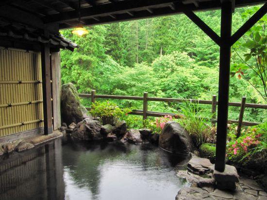 Shirataki Hotel 21/39