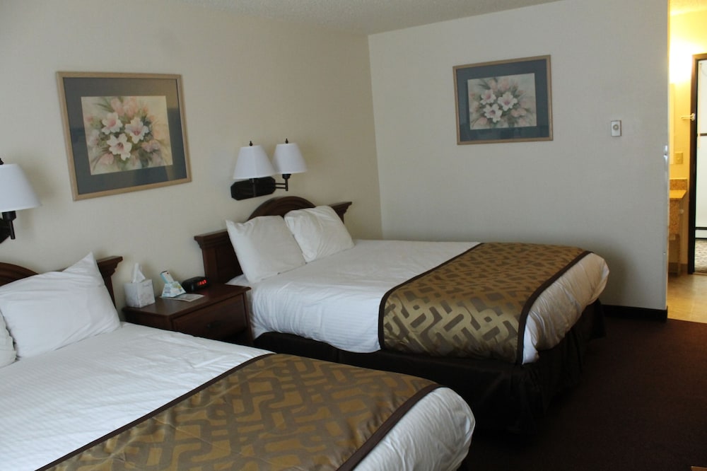 Lone Tree Inn Sidney By Hotel O 15/53