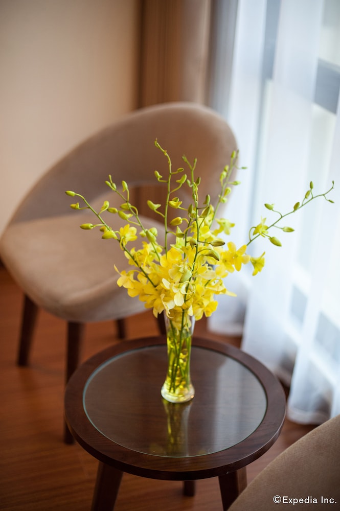 Muong Thanh Quang Binh Hotel 30/65