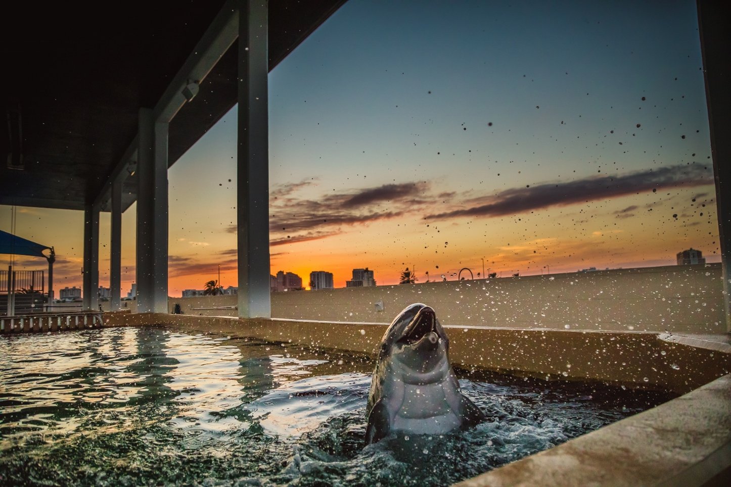 Edge Hotel Clearwater Beach 31/66