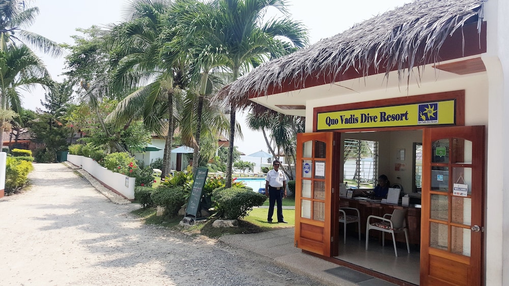 Quo Vadis Dive Resort 8/77