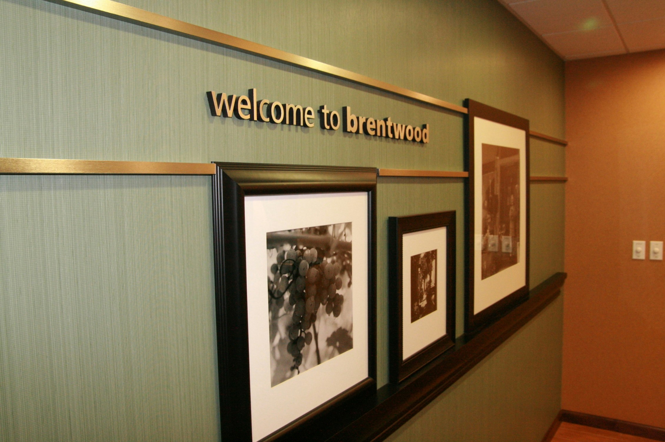 Hampton Inn Brentwood 16/50