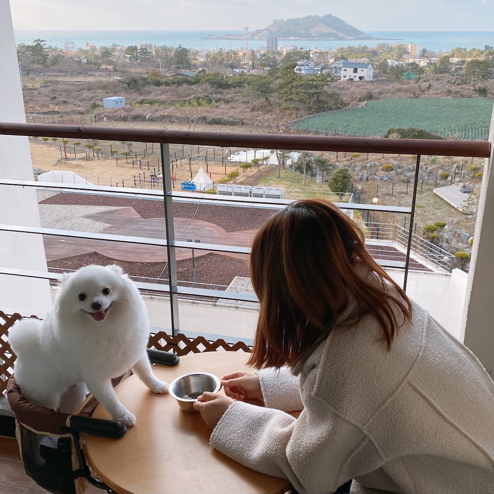Hi Jeju Hotel 20/50