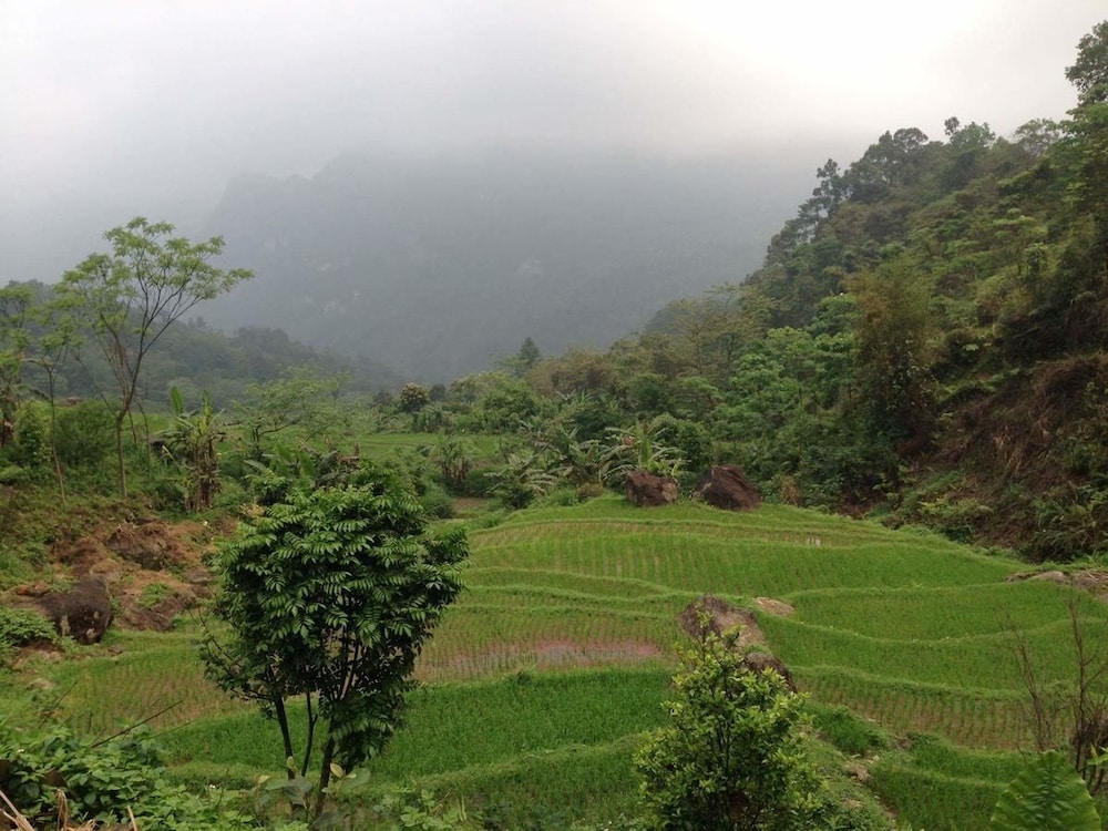 Linh Soi Homestay - Hostel 36/43