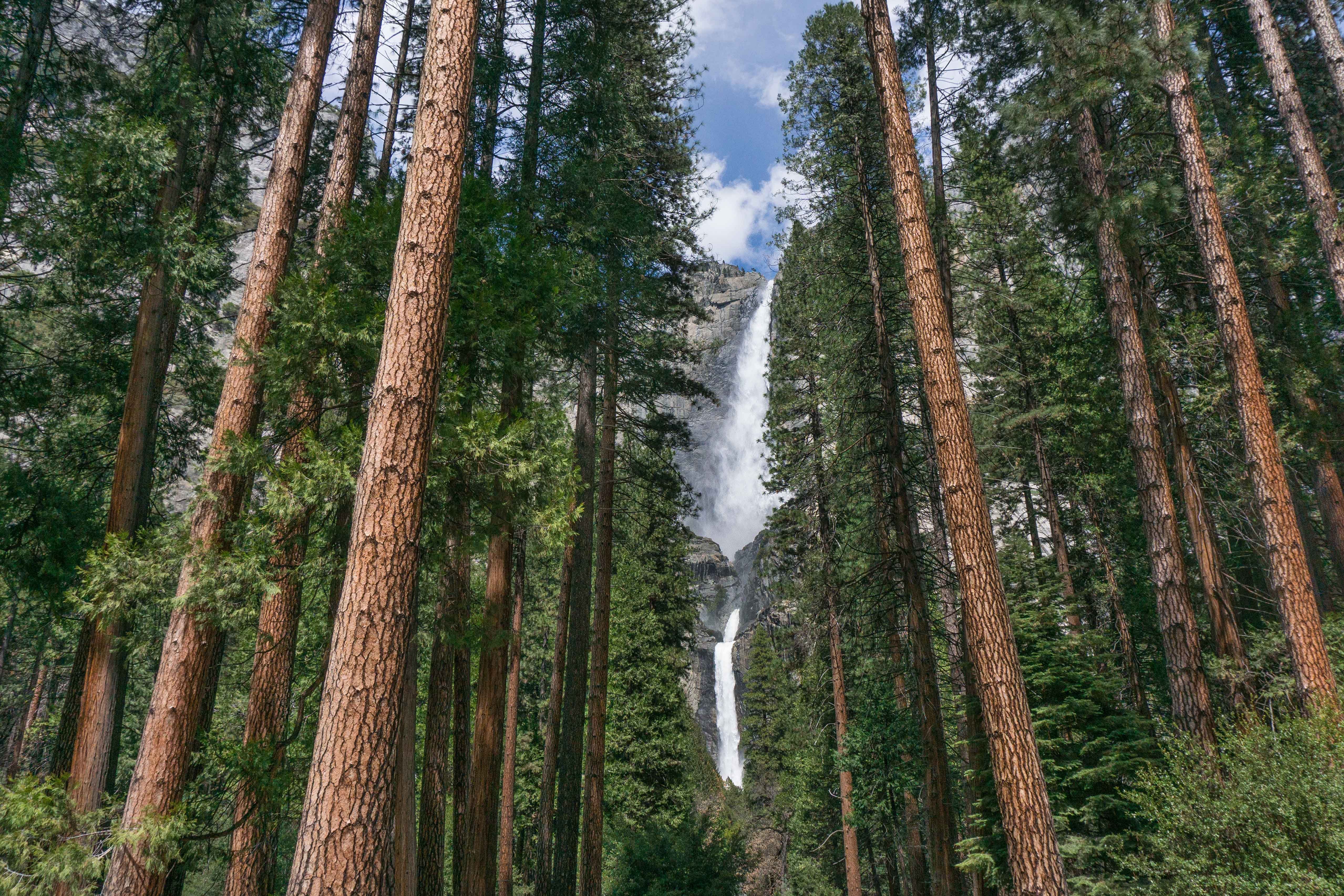 Holiday Inn Express & Suites Oakhurst Yosemite Park Area 43/48
