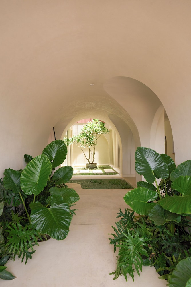 Hotel Chavana 34/39