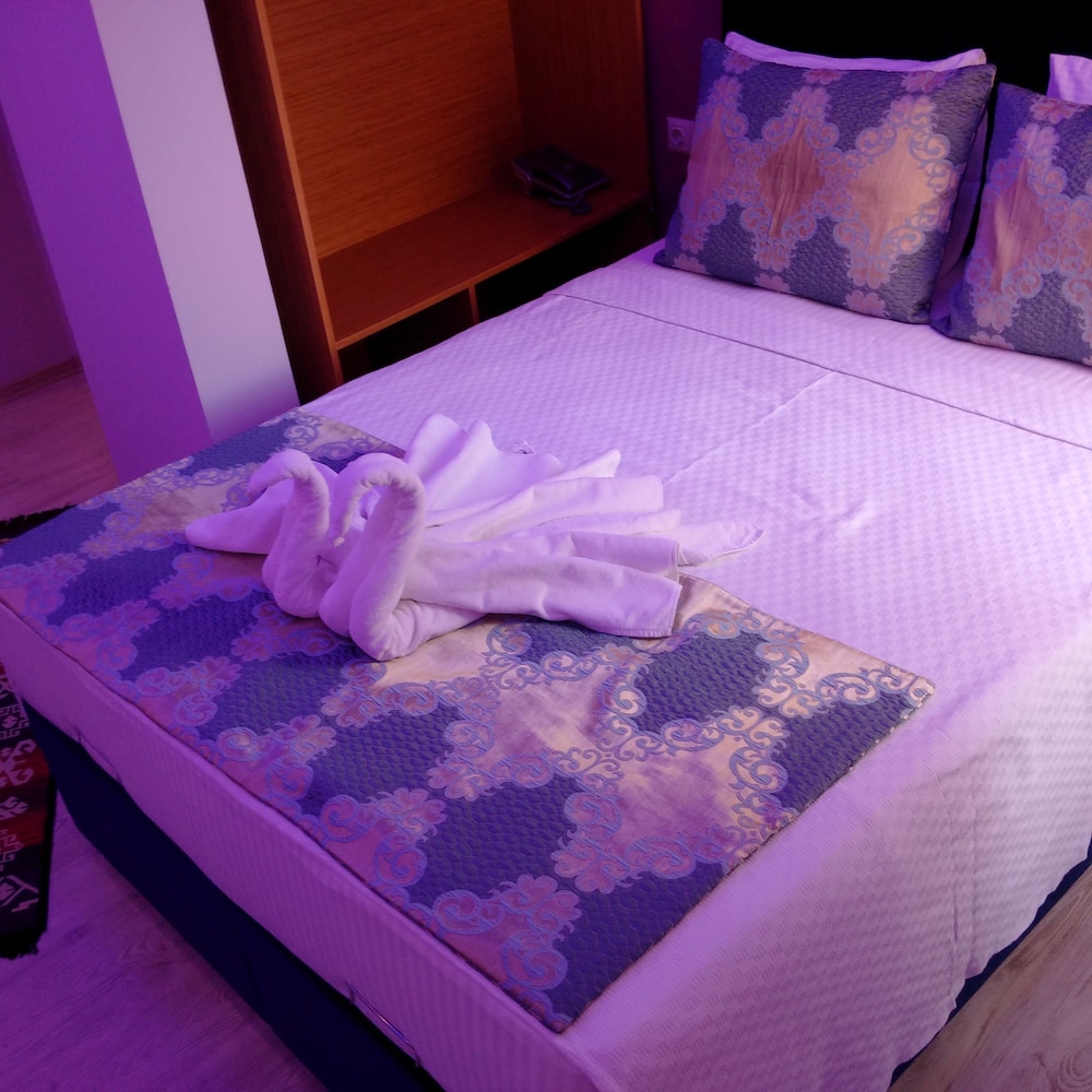 Otel Safran Palas 24/50