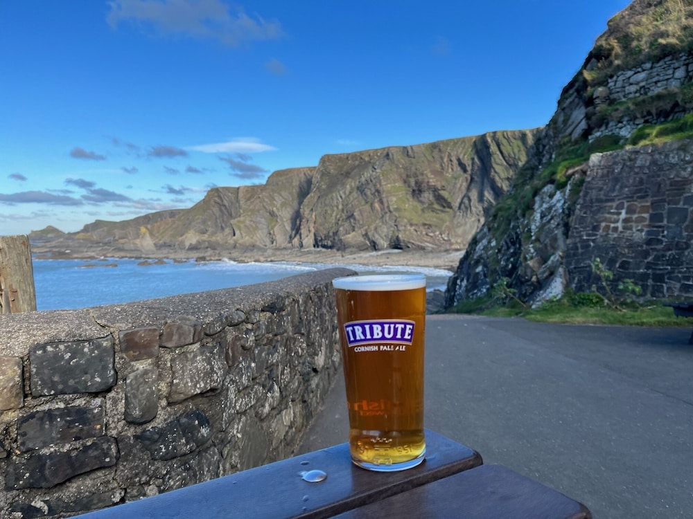 Hartland Quay Hotel 11/39