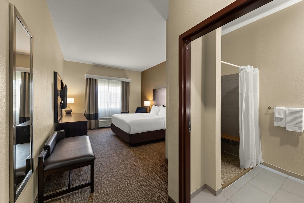 Room, King Bed, Accessible, Comfort Inn and Suites Atoka 4/4