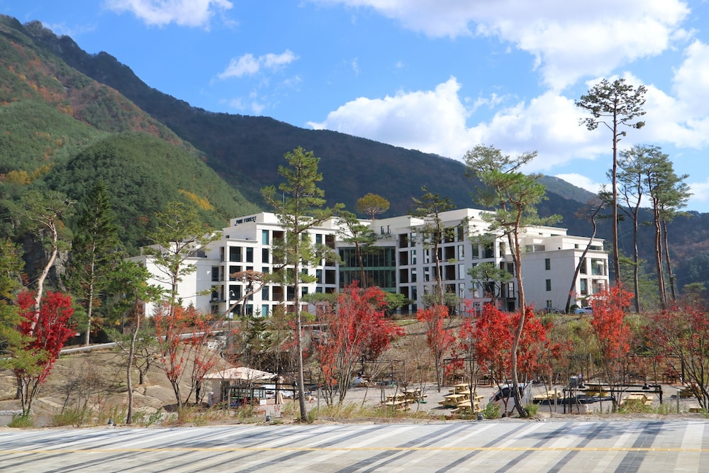 Pine Forest Jeongseon Alpine Resort 4/44