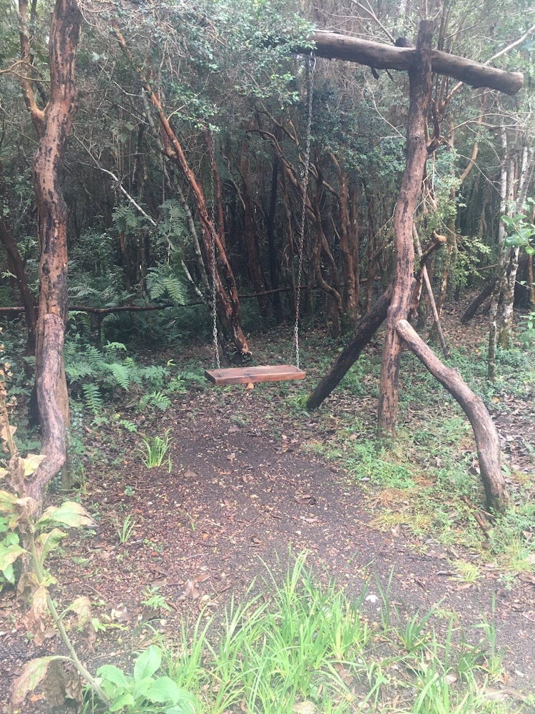 Cabanas Anulen Bosque Nativo 16/49