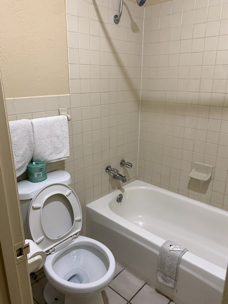 OYO Blue Star Inn 11/65