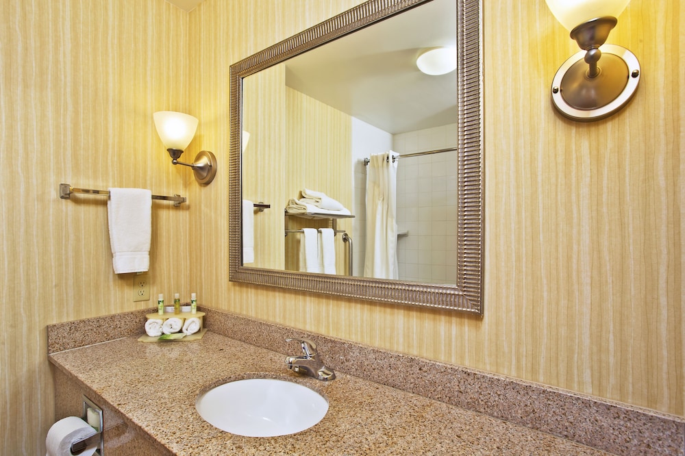 Holiday Inn Express Hotel & Suites Anderson 14/78