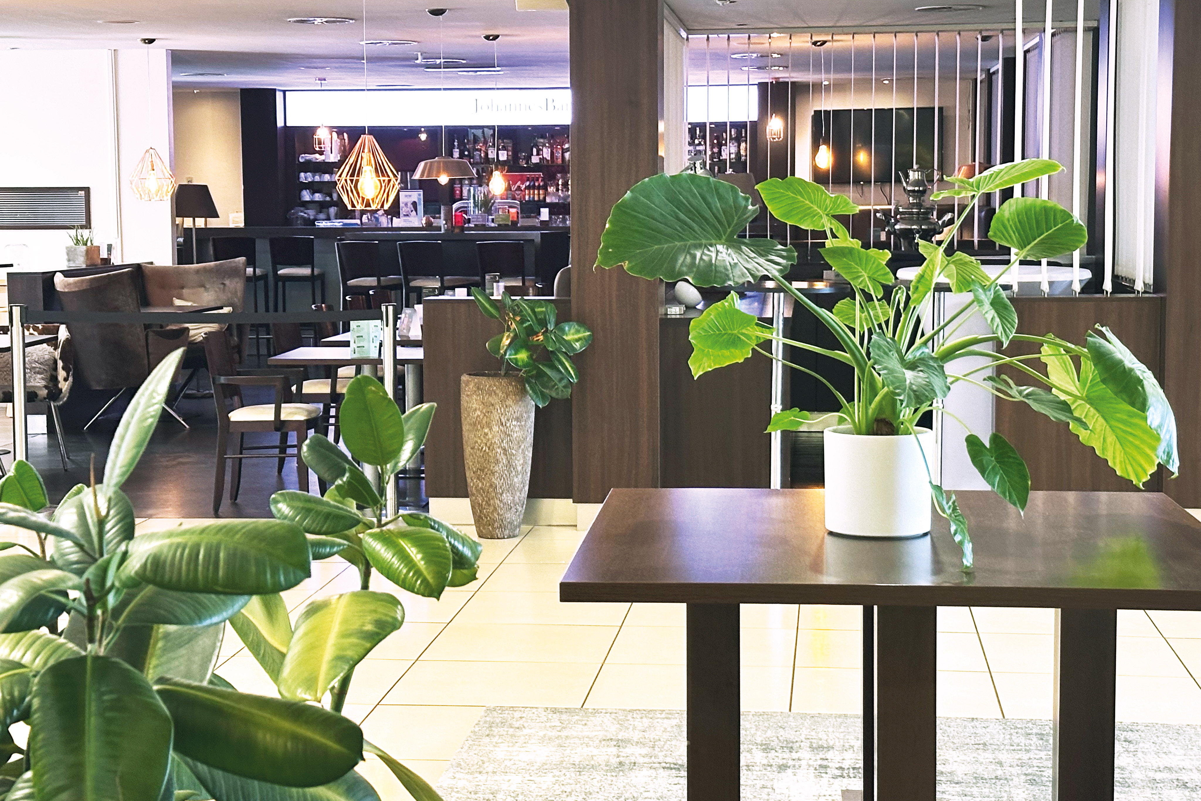 Select Hotel Mainz 62/91