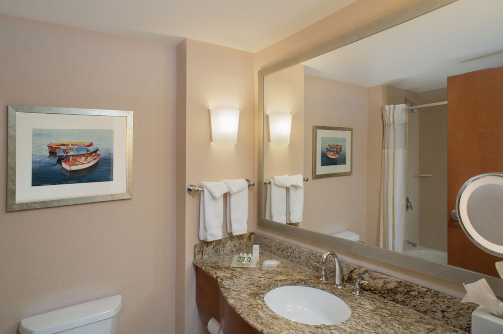 Suite, King Bed, Water View, Accessible