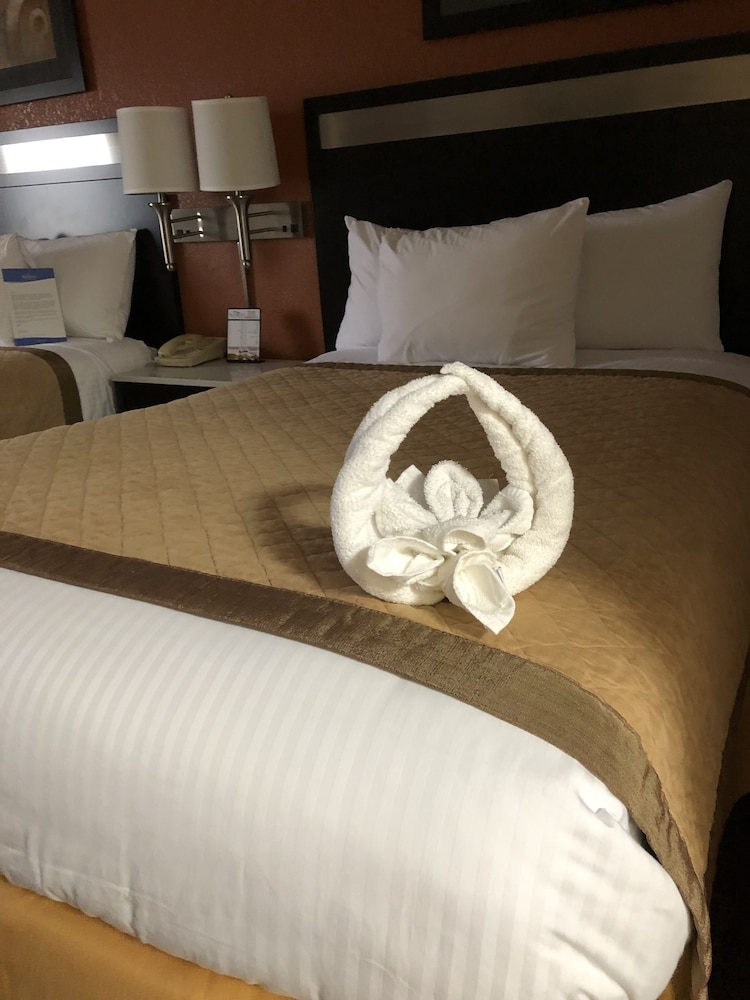 Baymont By Wyndham Cincinnati 26/39