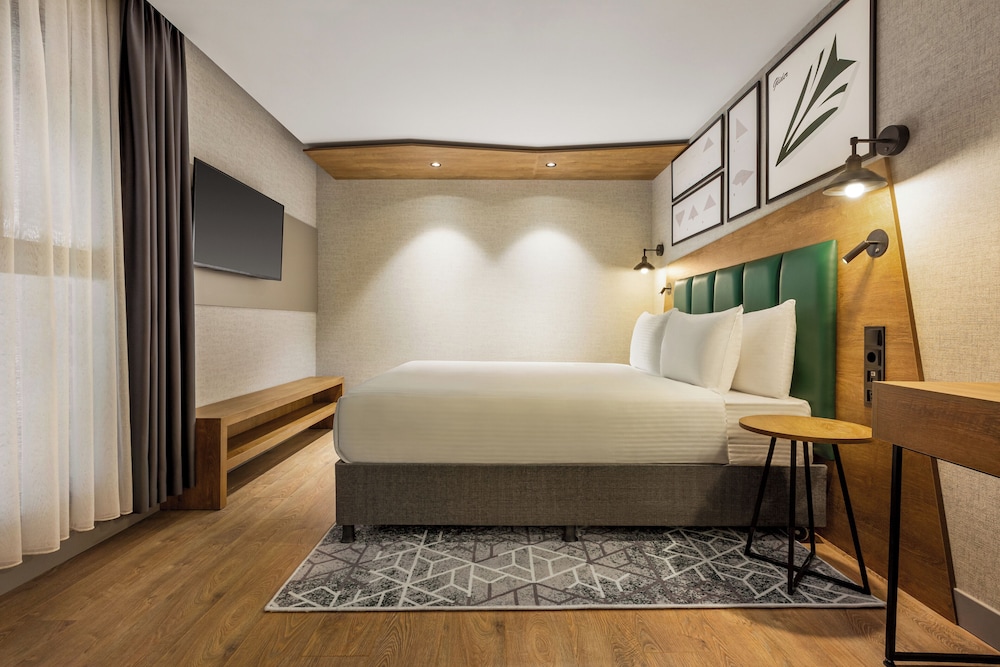 ROOM, KING BED, ACCESSIBLE