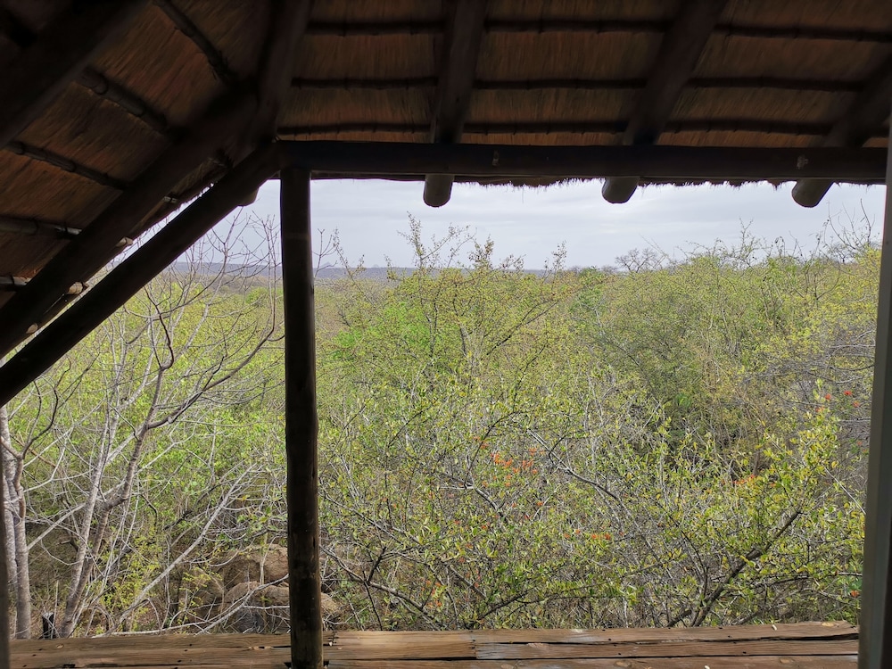 Mali Mali Safari Lodge 28/50