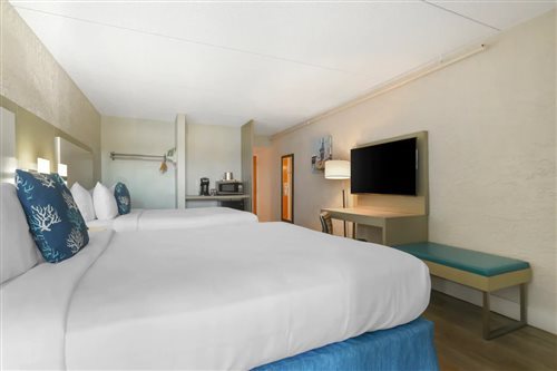 Room, King Bed, Accessible