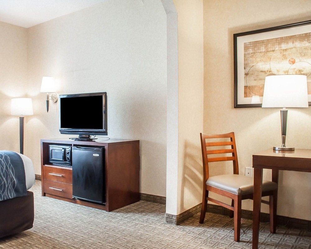 Comfort Inn & Suites Hamburg - Buffalo South 18/29