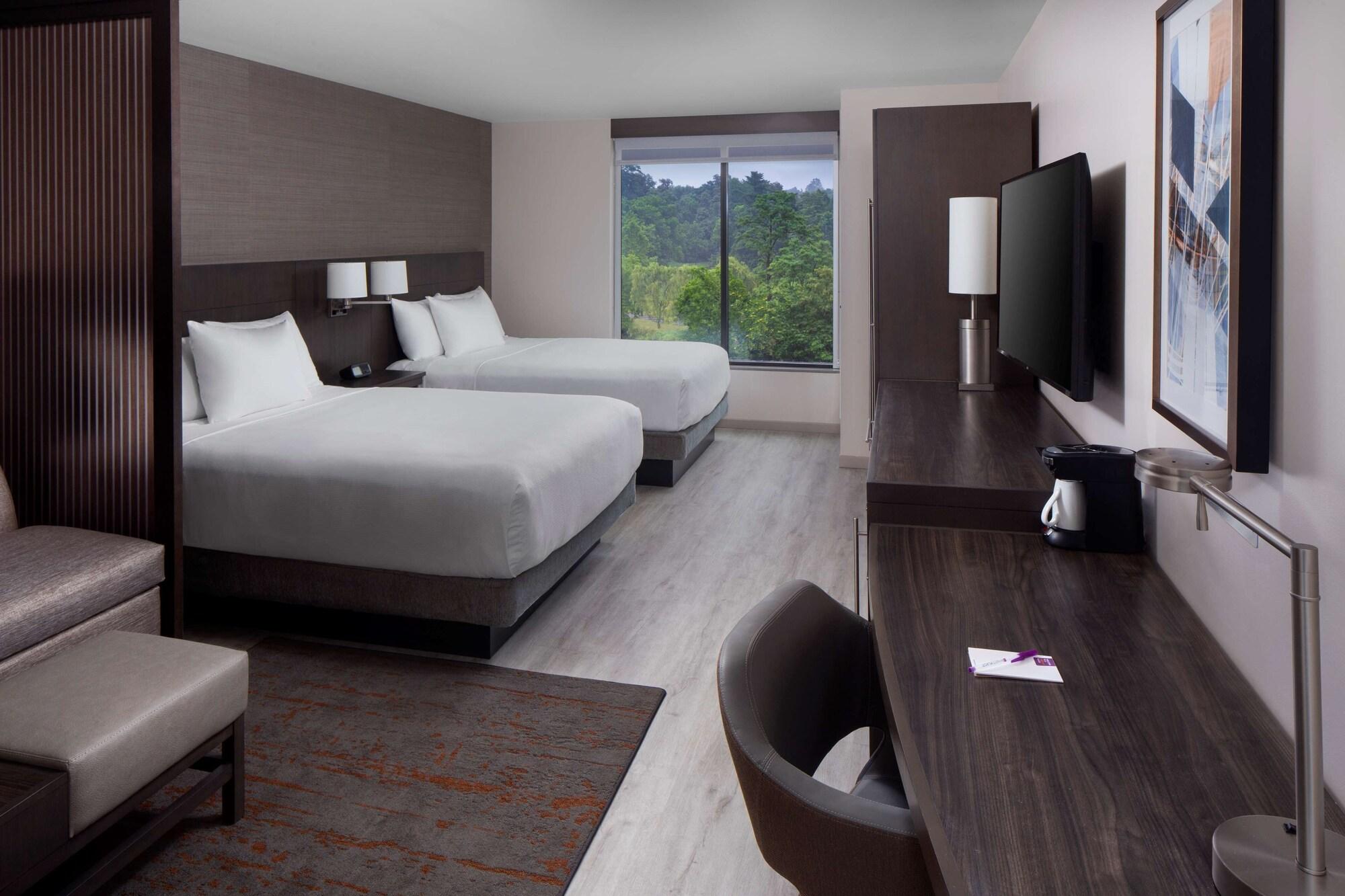 Suite, Multiple Beds, Accessible