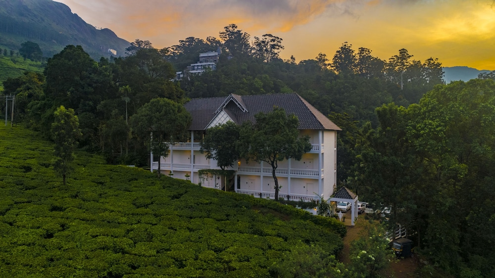 Tea Harvester Munnar 40/50