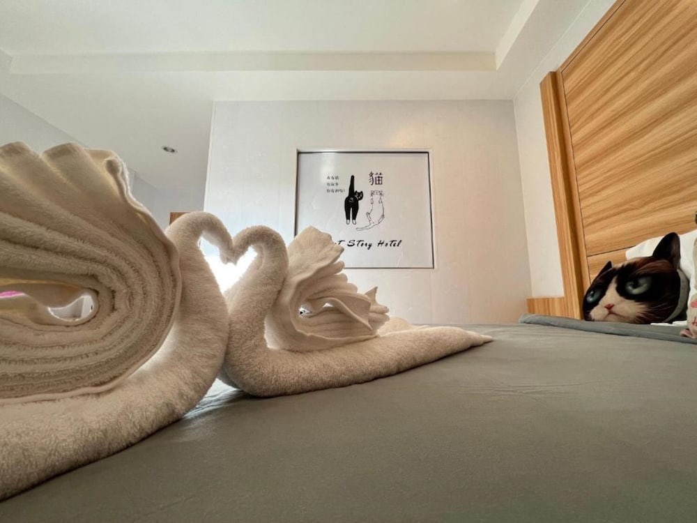 Cat Story Hotel 30/34