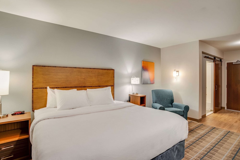 EFFICIENCY, SUITE, KING BED, ACCESSIBLE