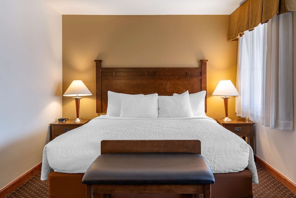 Best Western Desert Inn 20/50