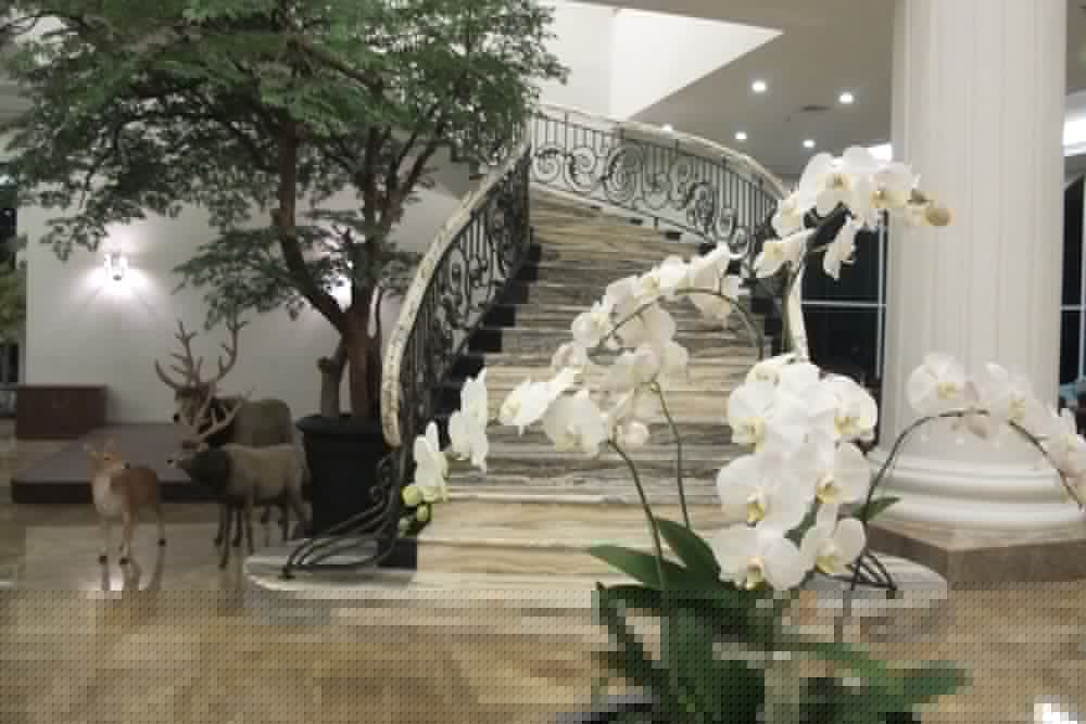 The Sahira Hotel 17/40