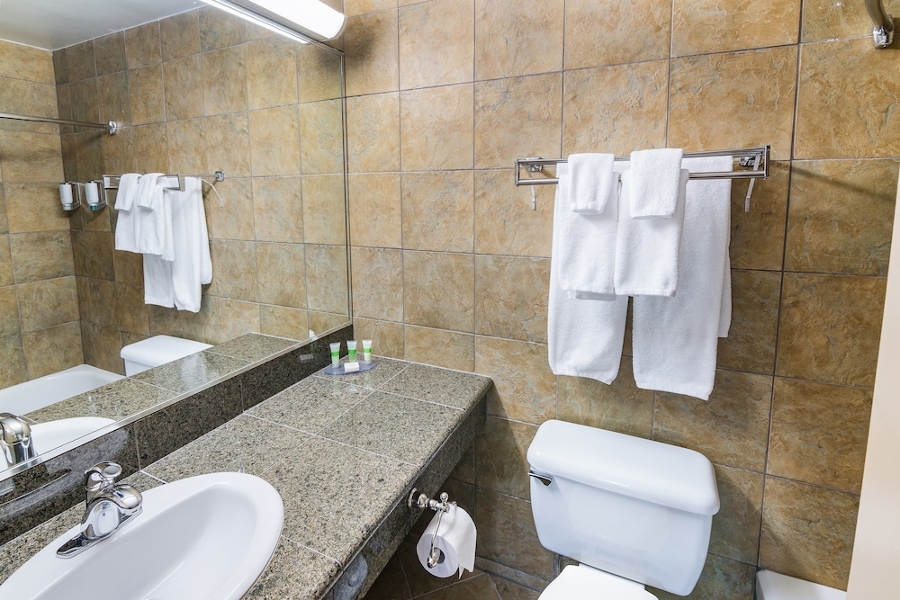 Ramada by Wyndham Thunder Bay Airlane Hotel 47/50