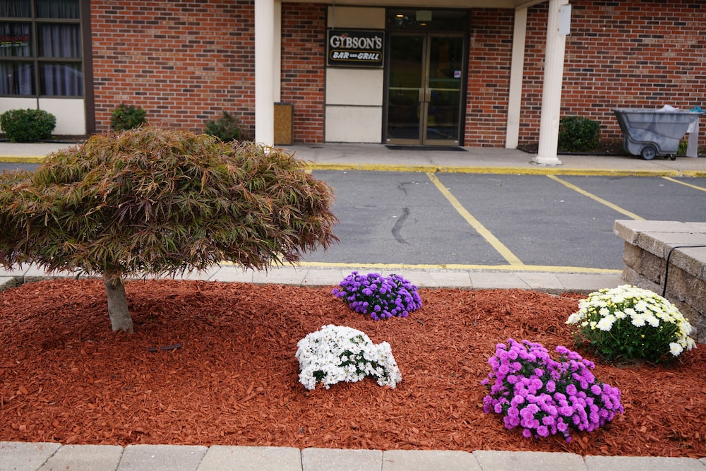Rodeway Inn & Suites East Windsor CT 8/44