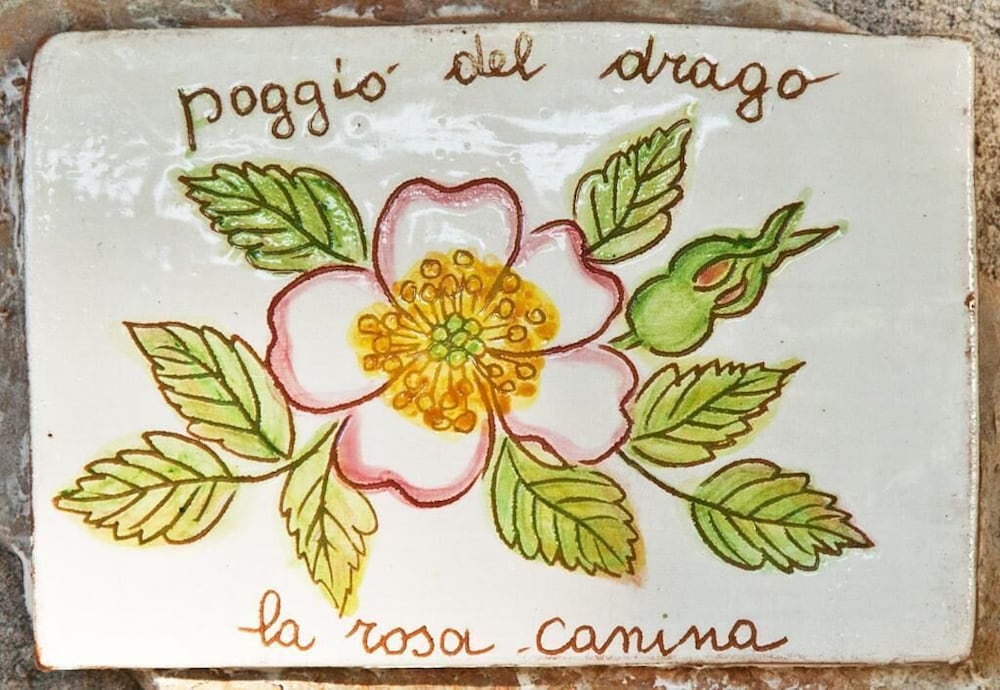 Agriturismo Poggio Del Drago 3/50