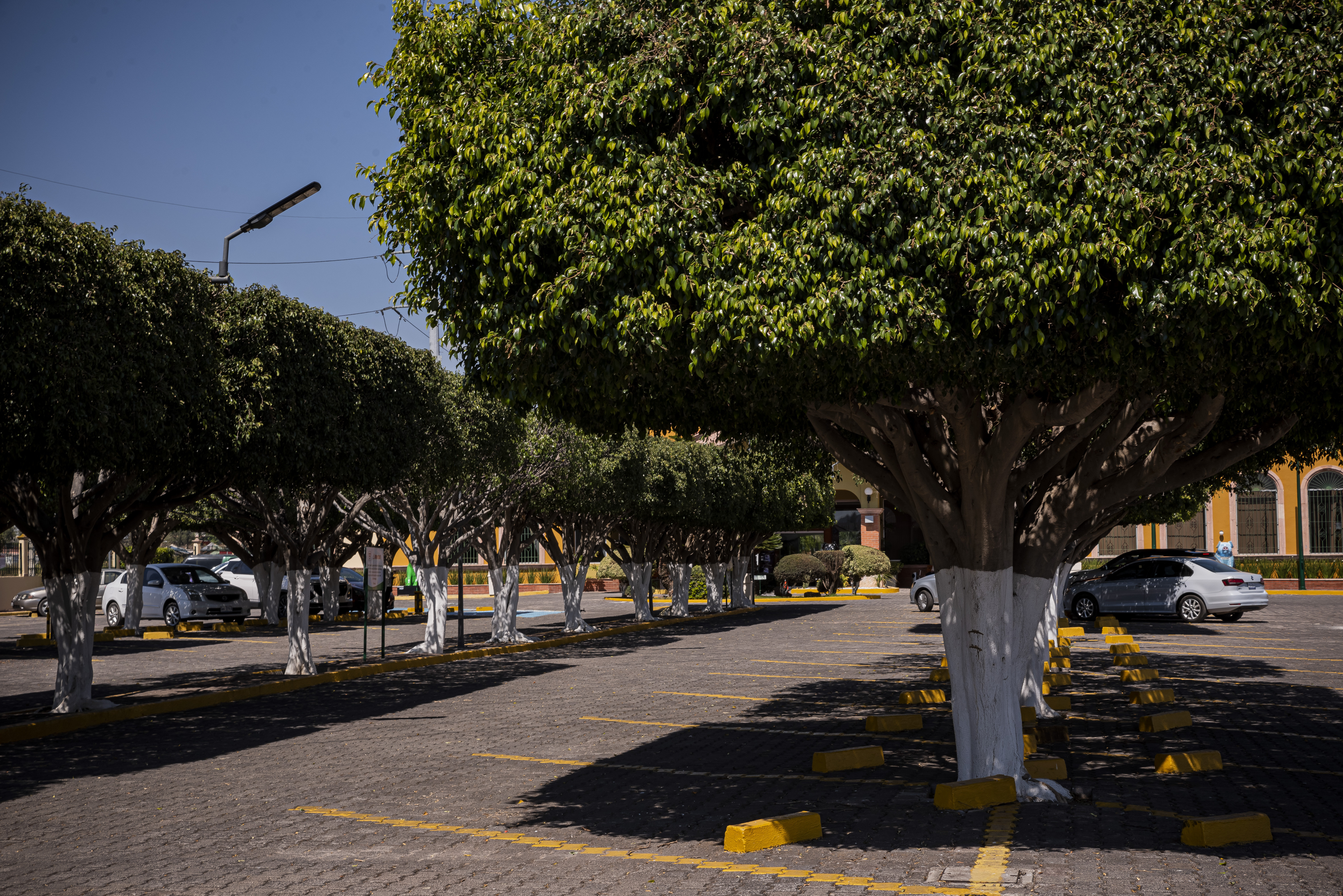 Holiday Inn La Piedad 49/55