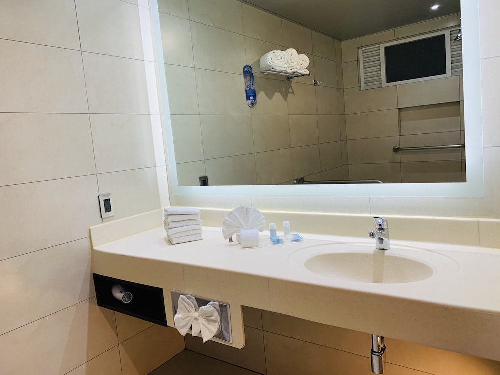 Holiday Inn Express Mexico Basilica 20/52
