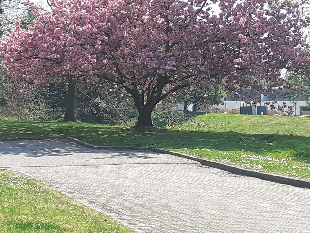 surroundings