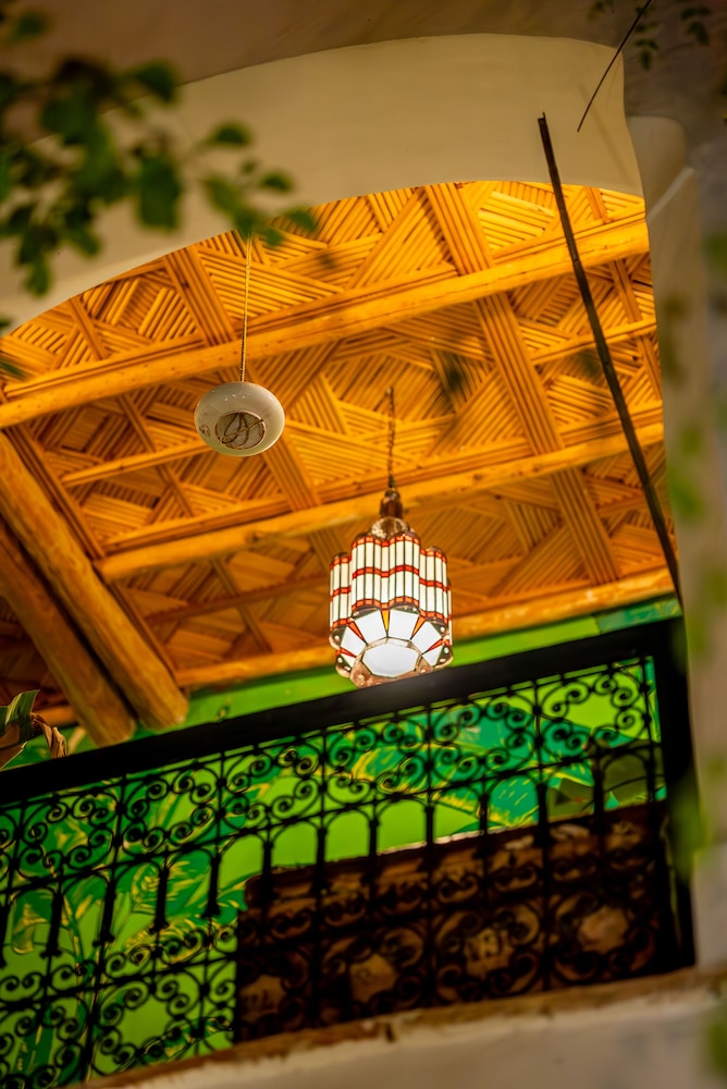 Riad Tibibt 23/50