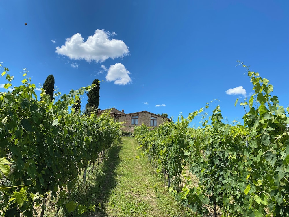 Tenuta Sovestro 39/50