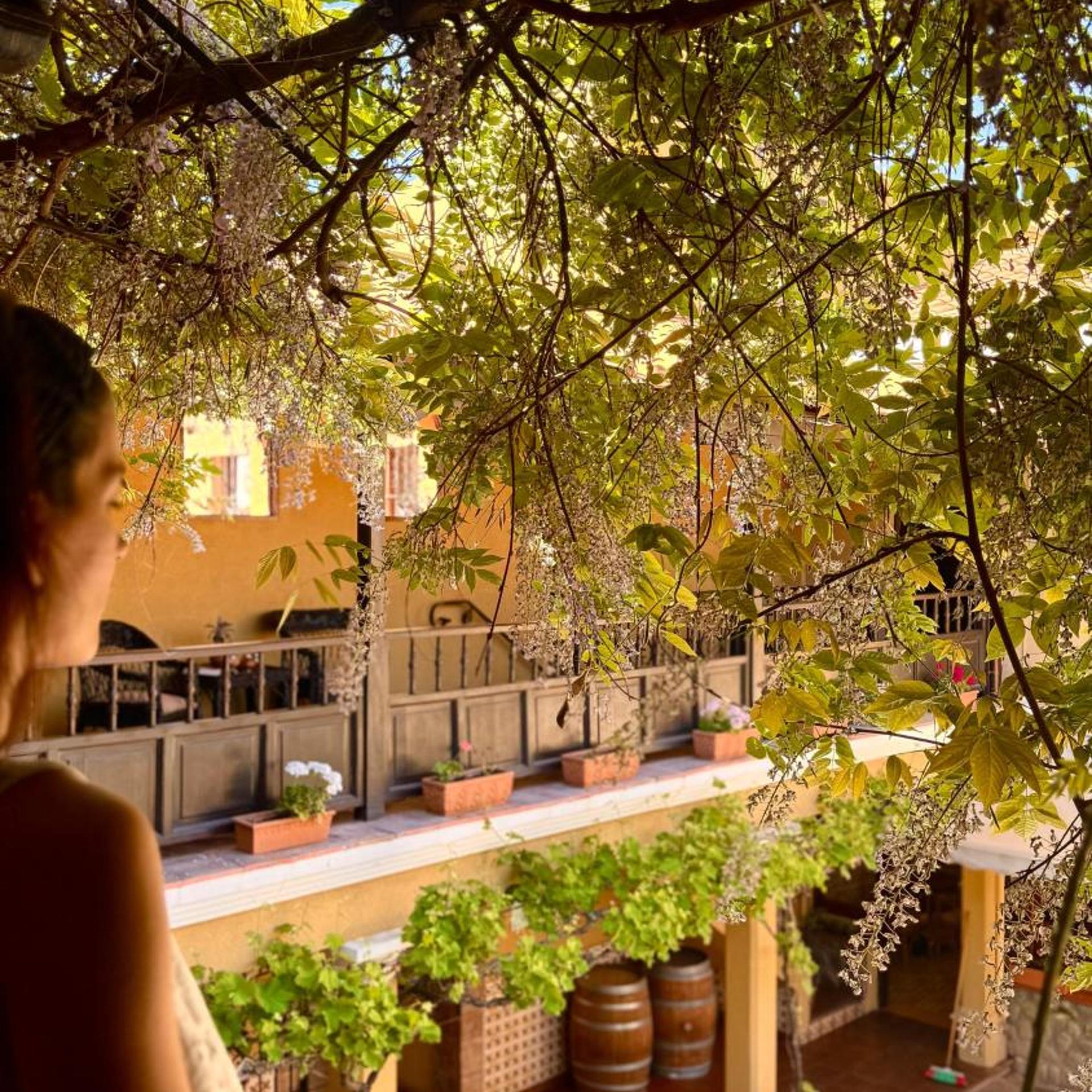 Villa Vicuña Wine and Boutique Hotel 47/51