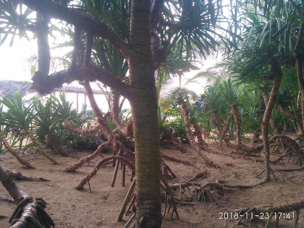 Ravana Beach Cabanas 33/36