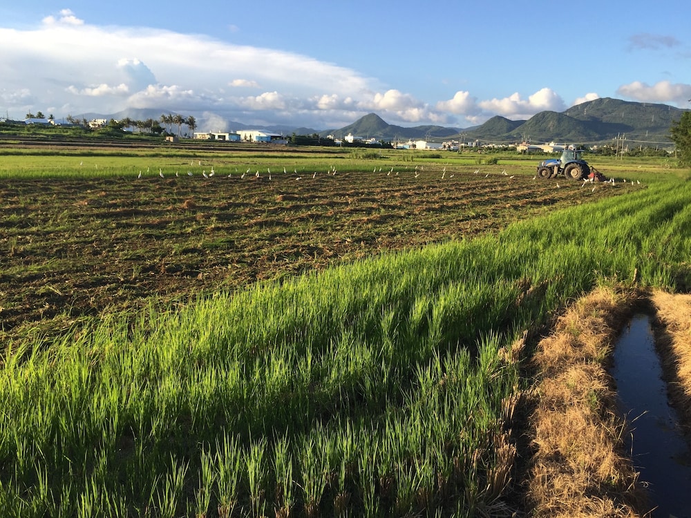 Beras Manor Kenting 24/30