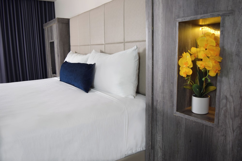 HOTEL FIESTA TIJUANA 写真3
