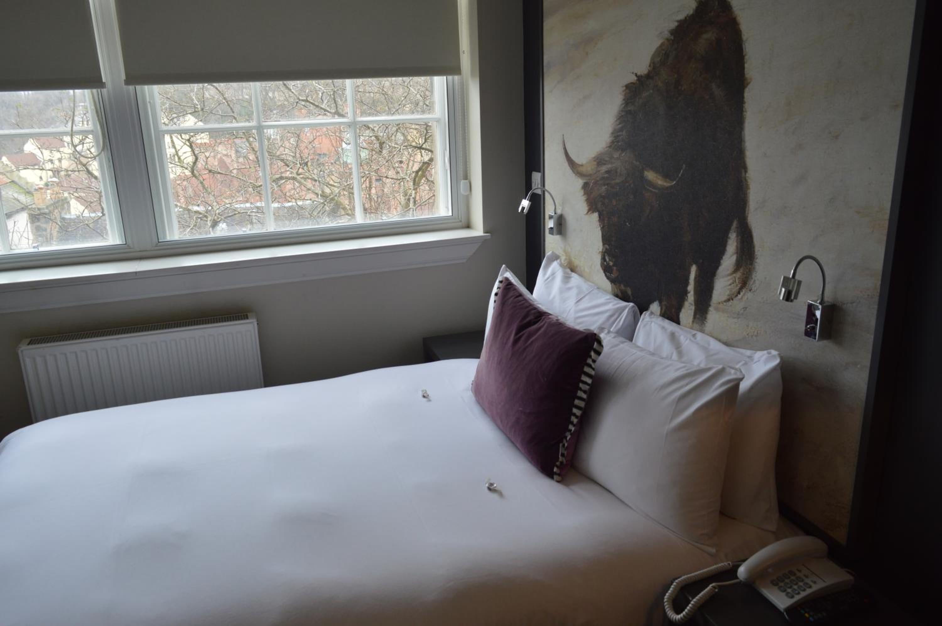 Room, Queen Bed