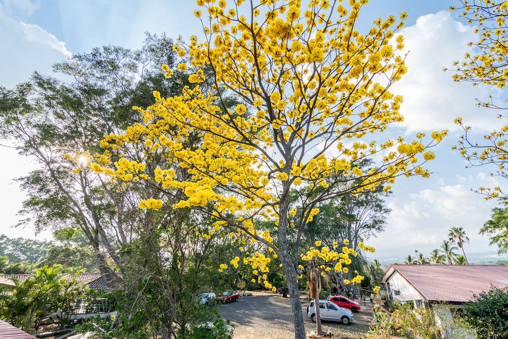 Villa Margarita 44/50