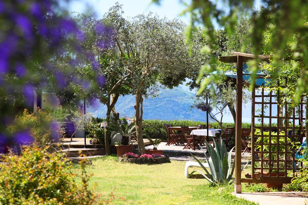 Albergo Solcalante 12/17