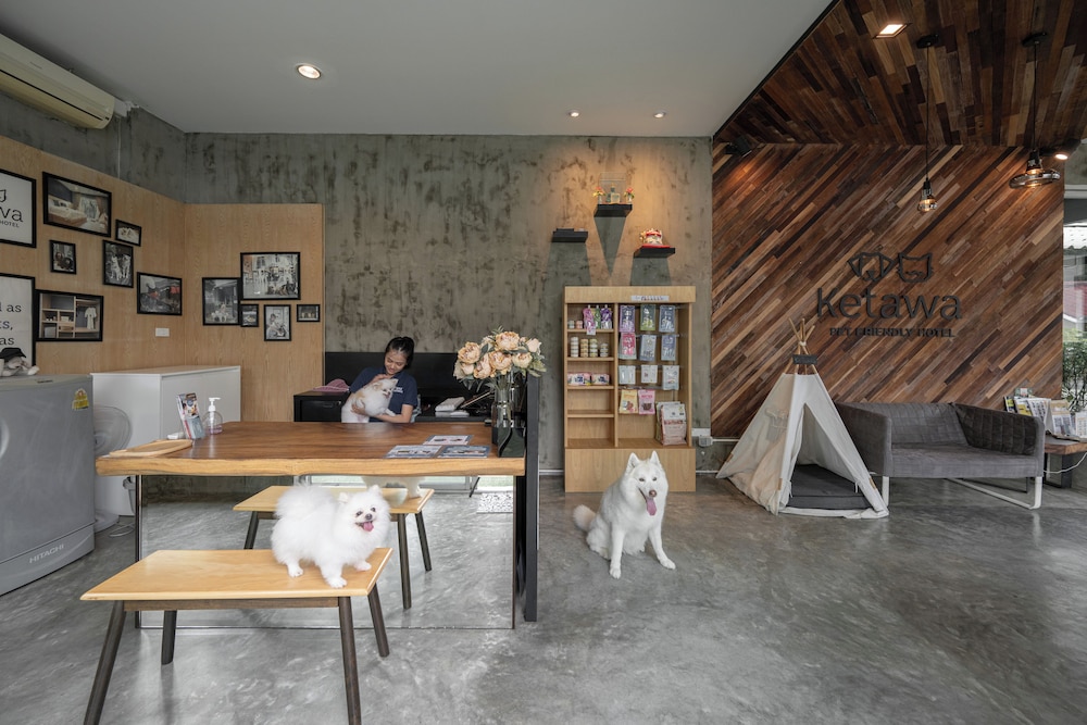 Ketawa Pet Friendly Hotel and Cafe (ex Ketawa Stylish Hotel) 6/43