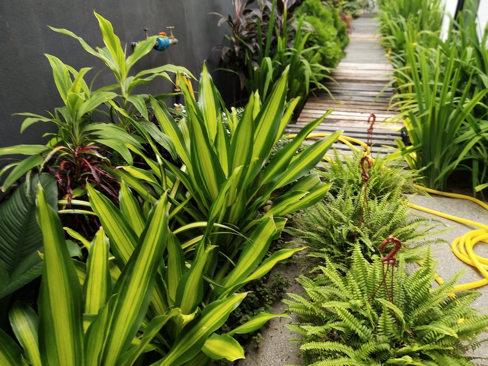 Beds In Garden Hostel Sdn Bhd 37/50
