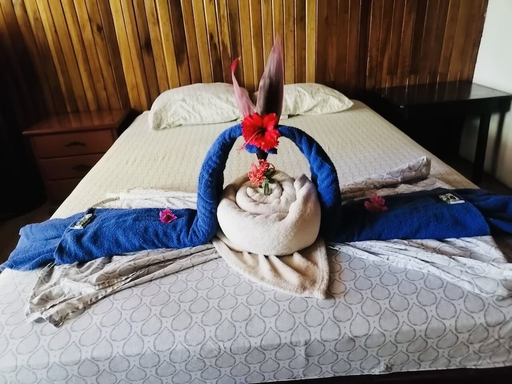 Hotel Aurora 38/50