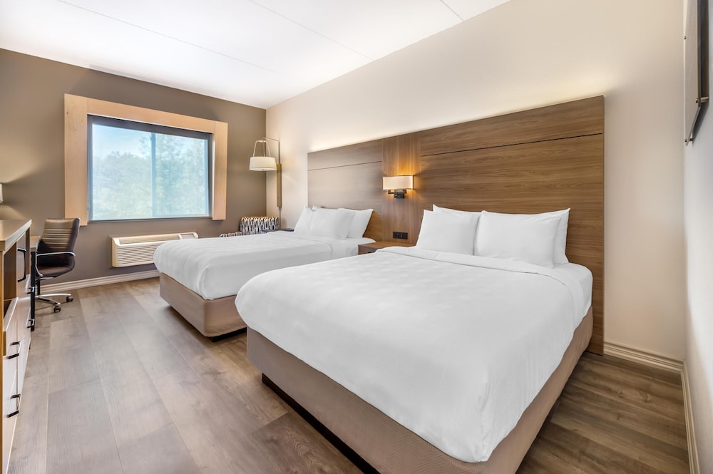 Standard, 2 Queen Beds, Nature View