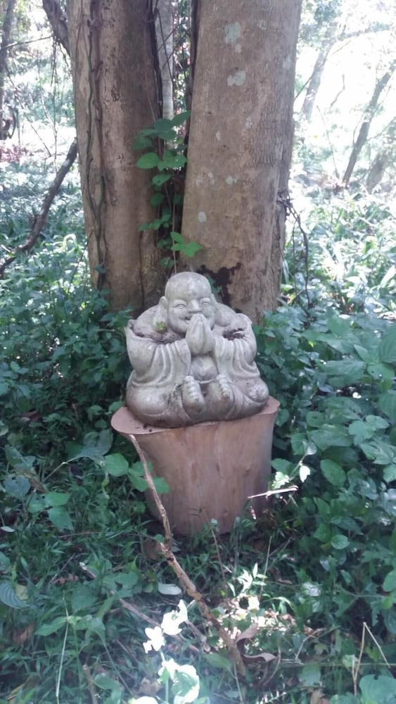 Cybele Lodge Bnb 16/38